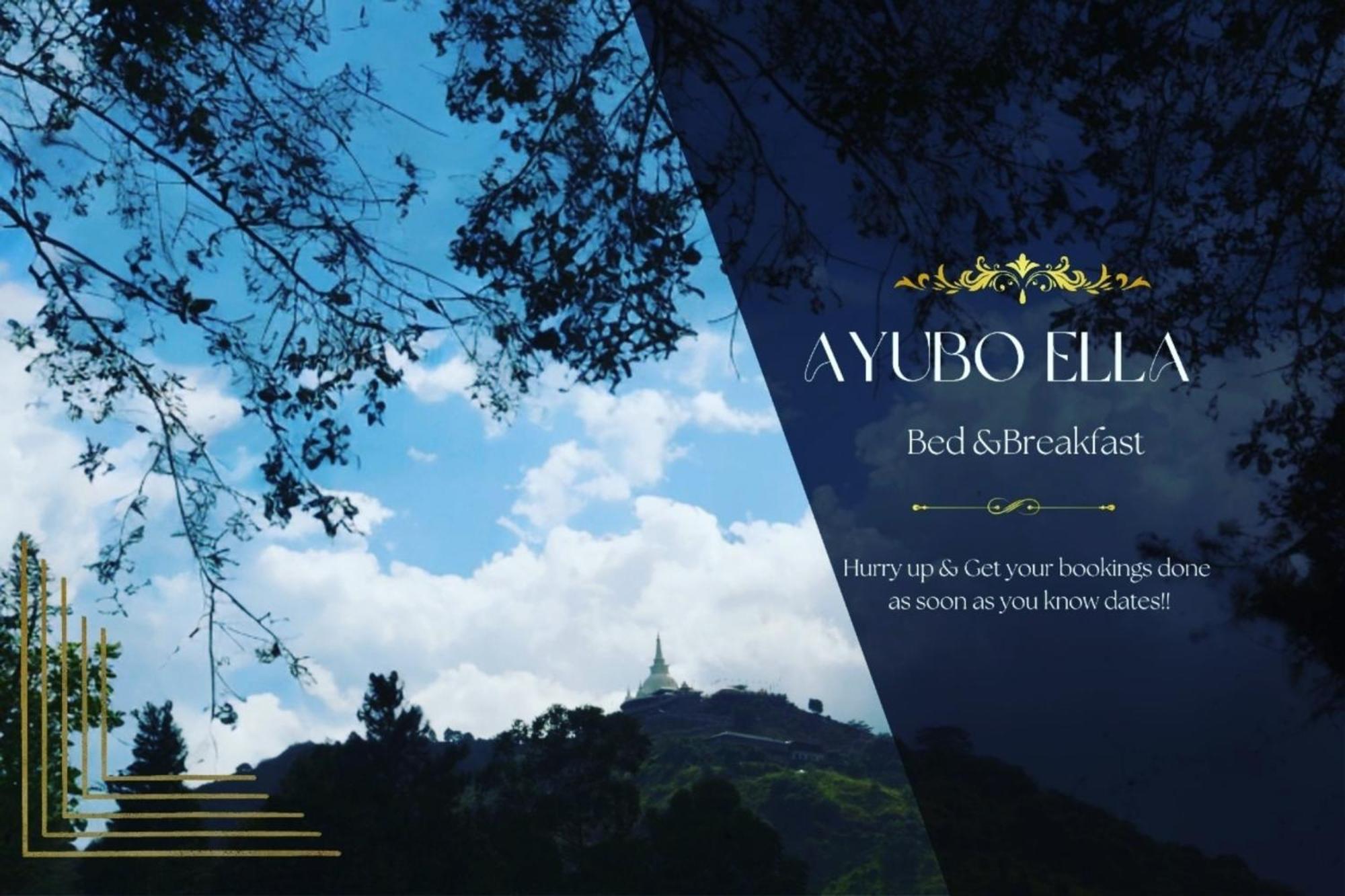 Ayubo Lodge *